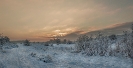 winter wonderland_1