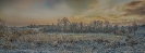 winter wonderland_2